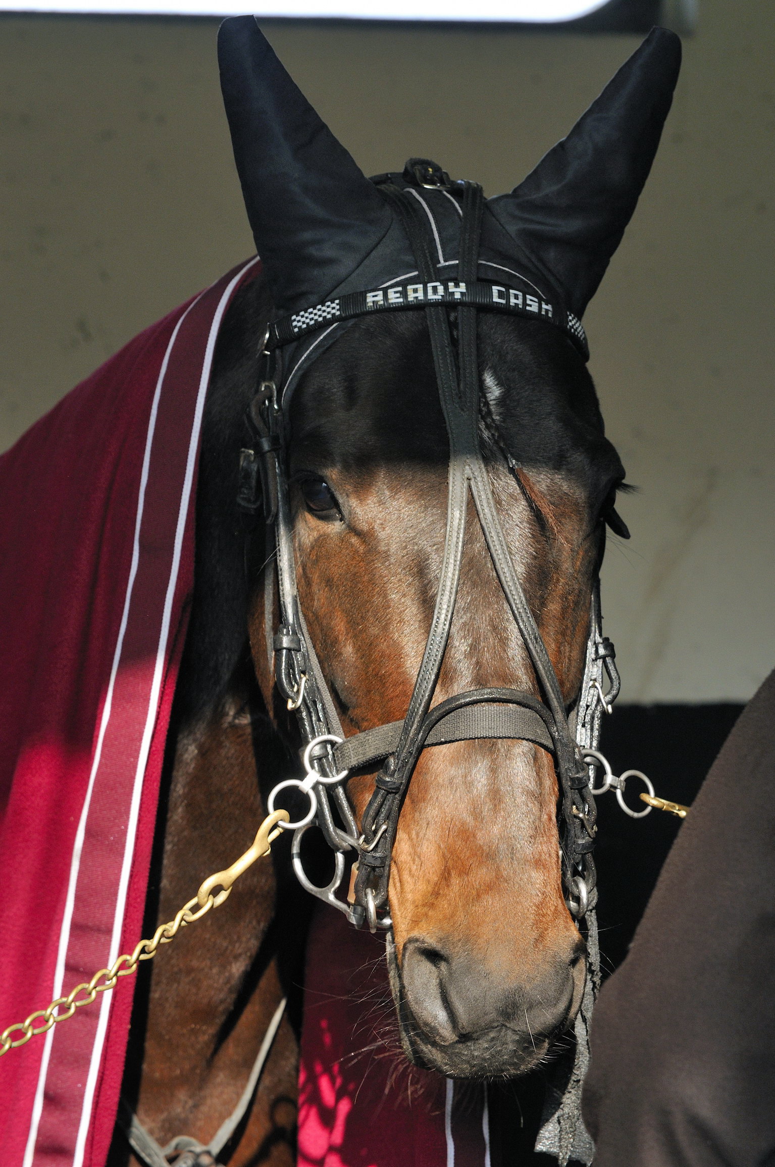 Ready Cash de retour à Vincennes