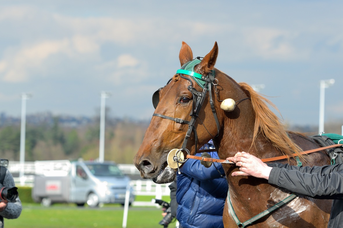 A Prix d’Amérique ticket at stake!