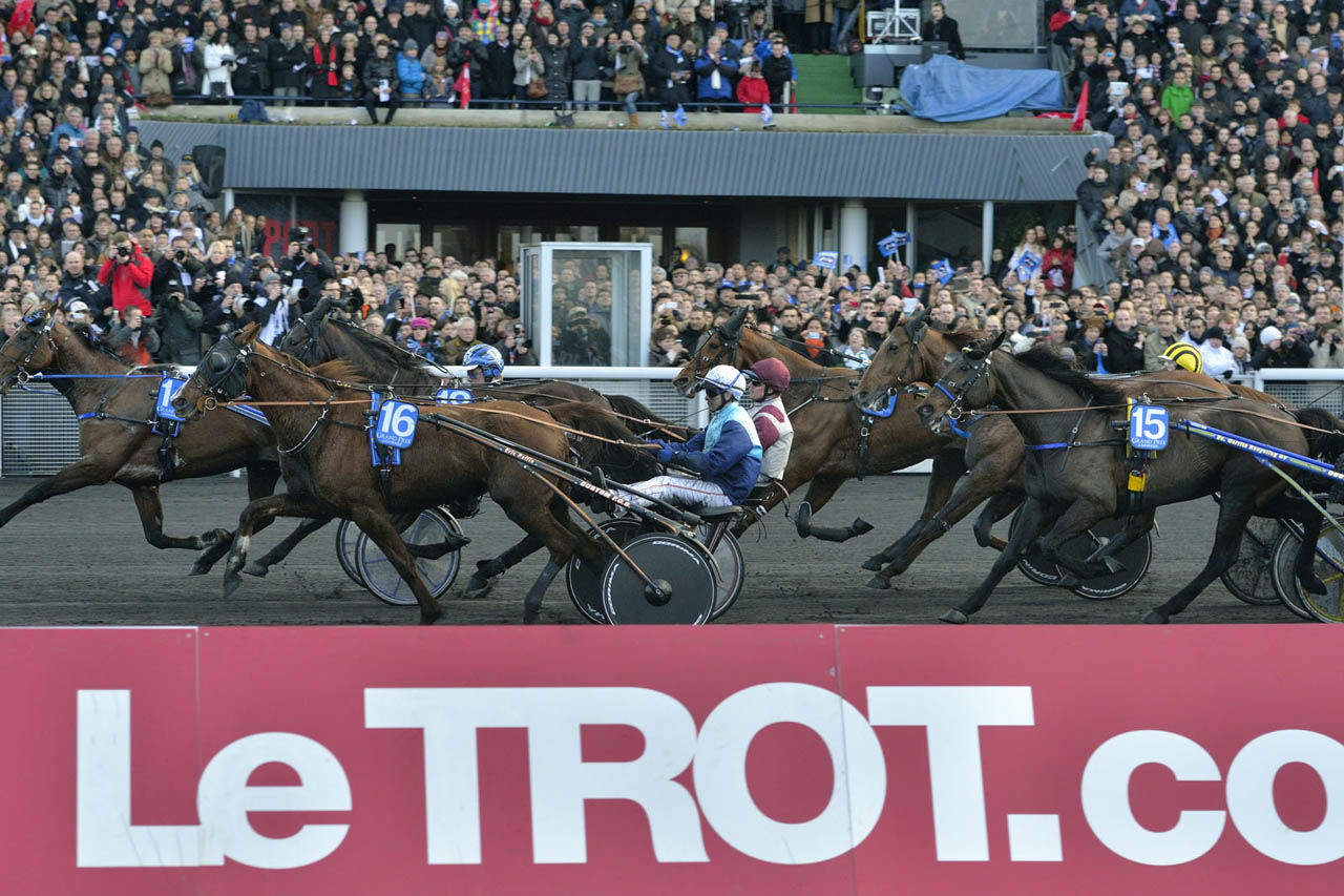 The runners of Prix de Belgique and Ténor de Baune