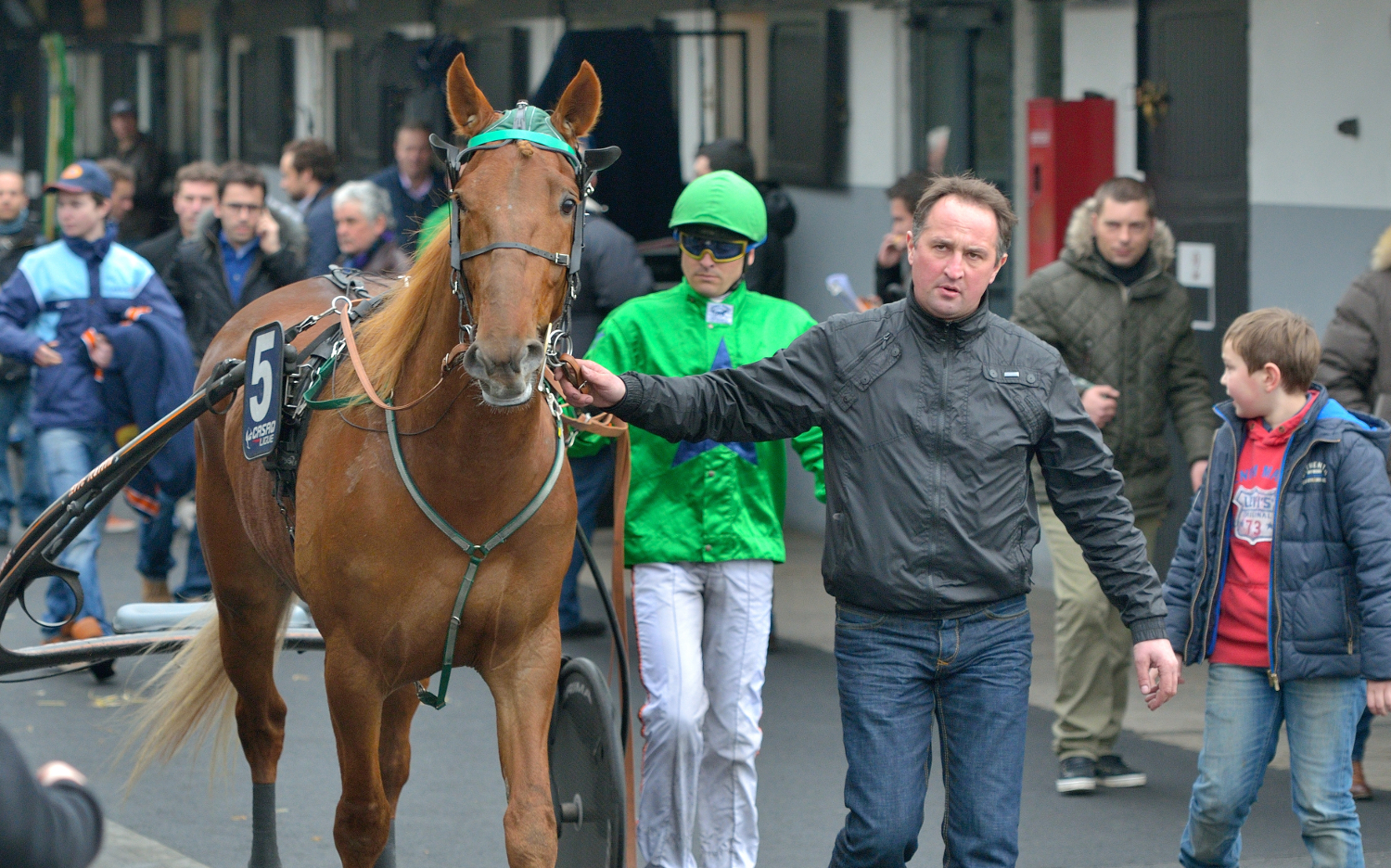 Aladin d’Ecajeul, racing with youth on his side