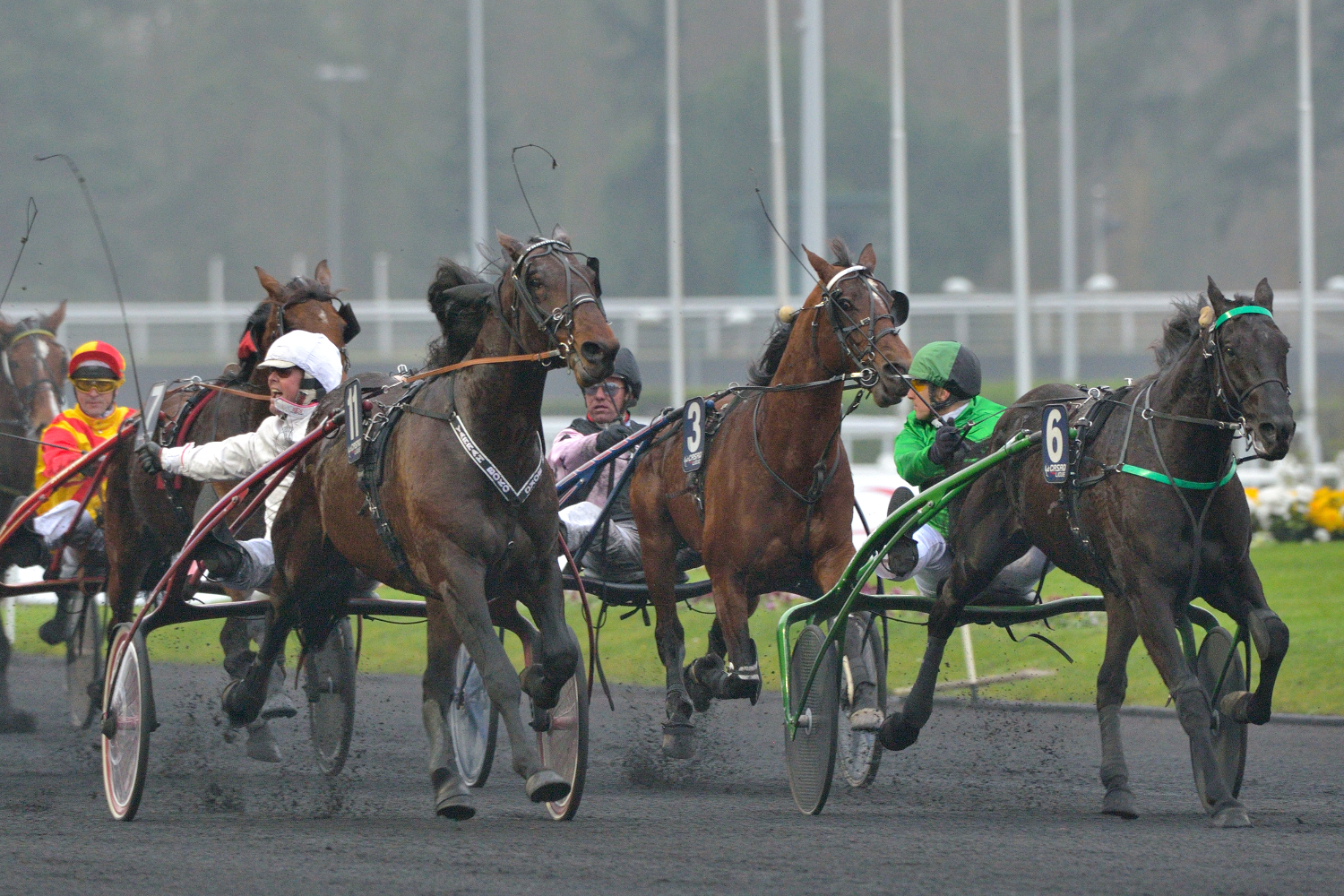 The Scandinavians dominate the Prix de Belgique