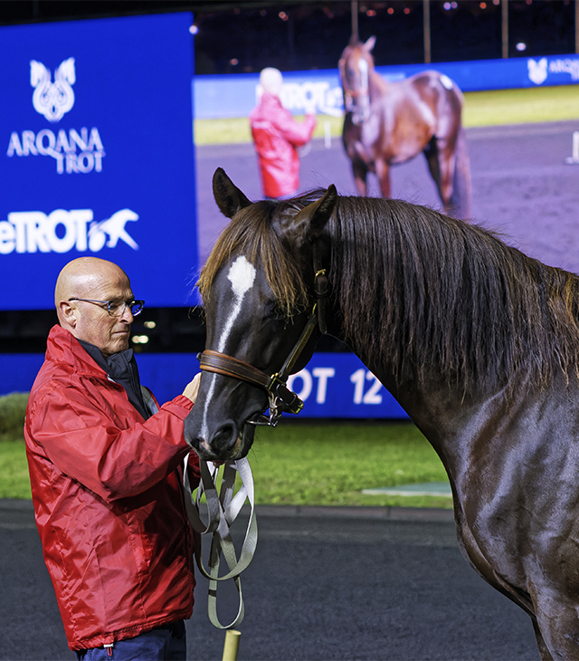 VENTES AUX ENCHÈRES DU PRIX D’AMÉRIQUE