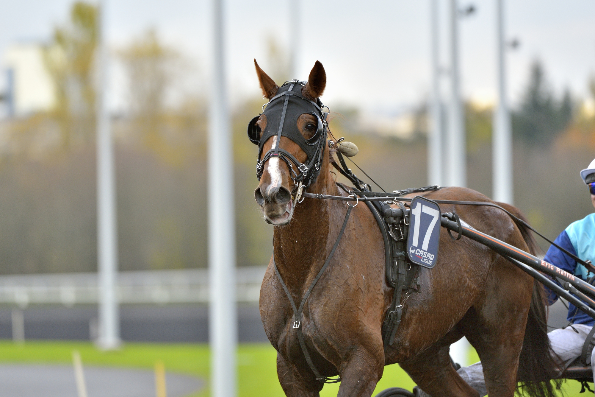 Prix de Bourgogne follow-up