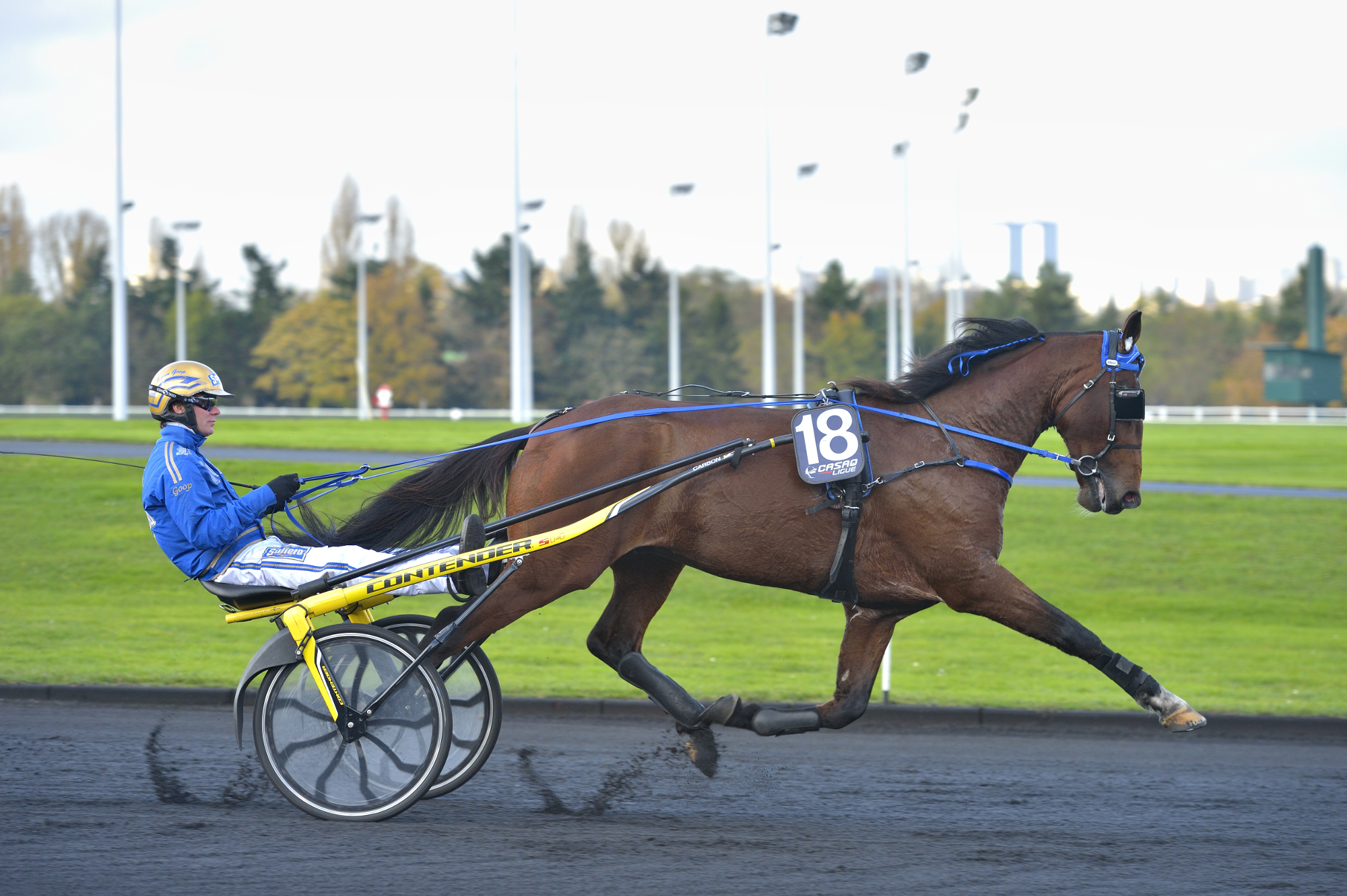 Timoko, de Solvalla à Vincennes