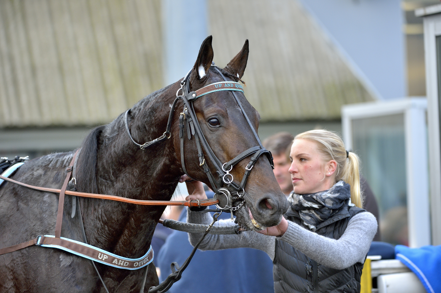 The stakes are high for the Prix Ténor de Baune !