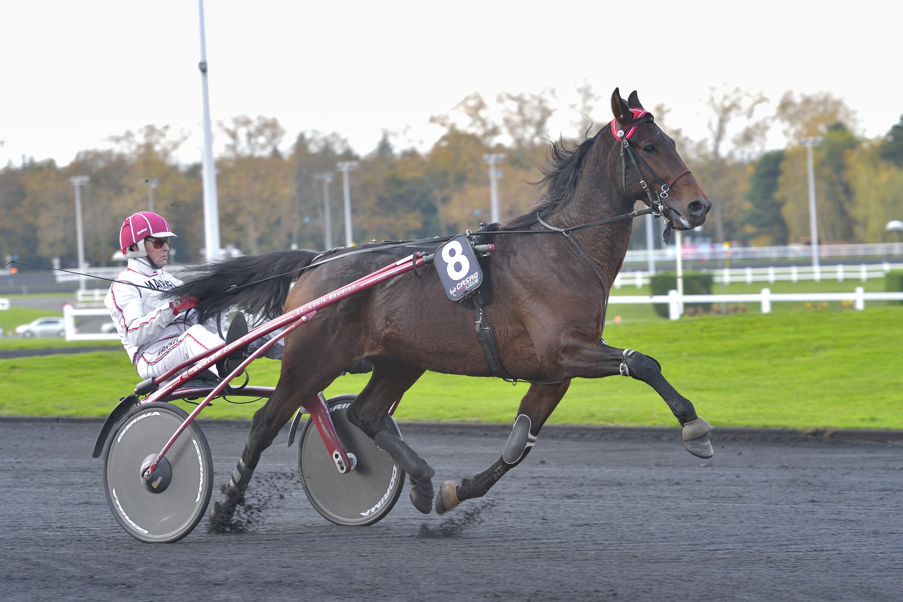 Prix du Bourbonnais, 2nd of the #opodoraces