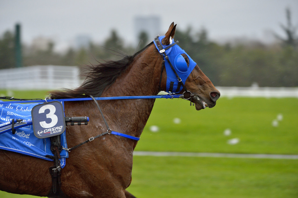 TIMOKO ROMPS HOME IN PRIX DE BOURGOGNE