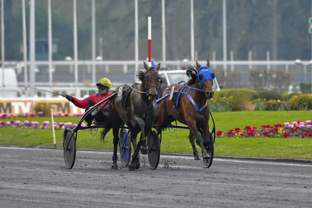 Bold Eagle vs Timoko in the Grand Prix de Bourgogne