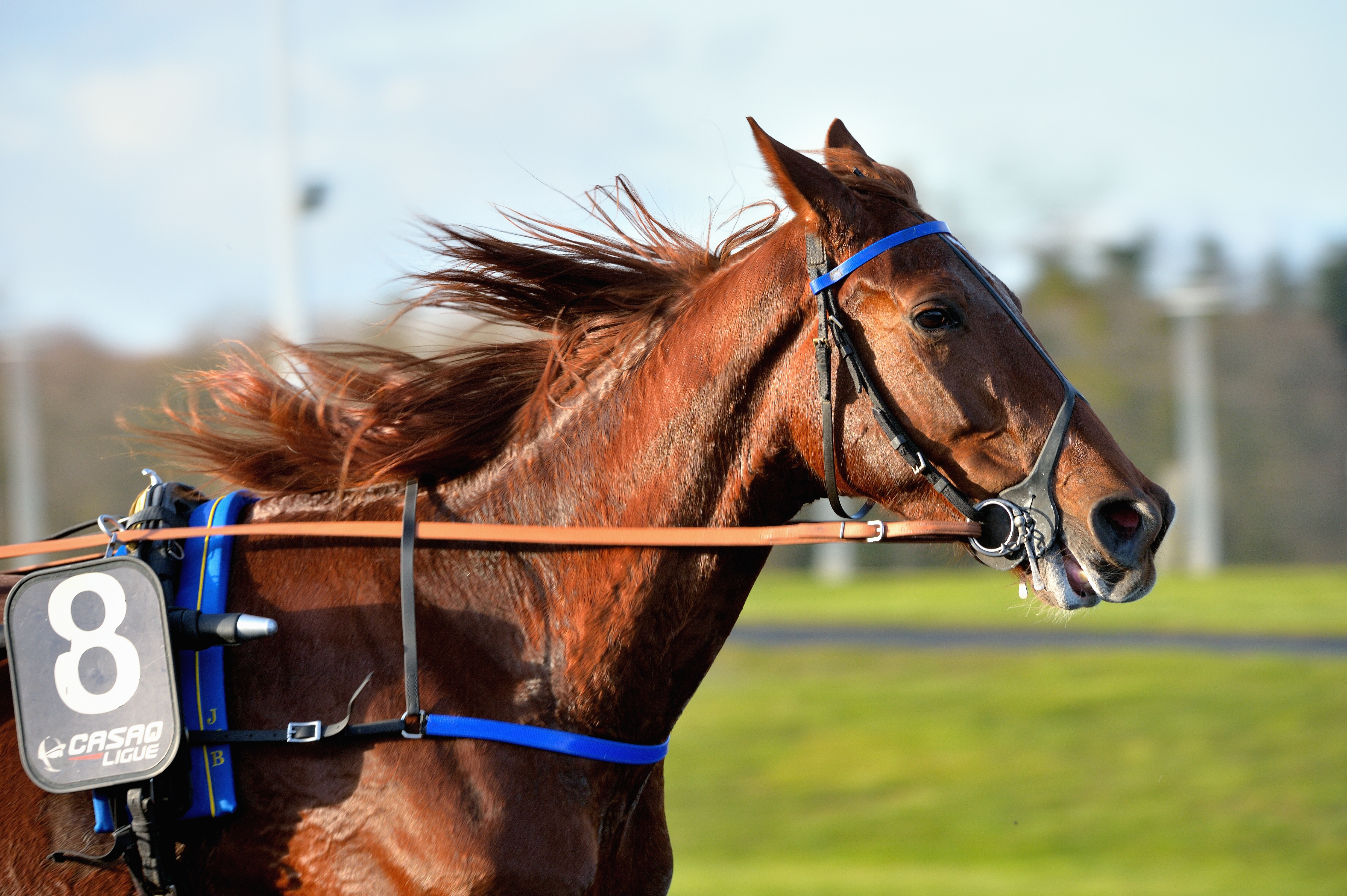 Belina Josselyn ambitious in the Prix Ténor de Baune