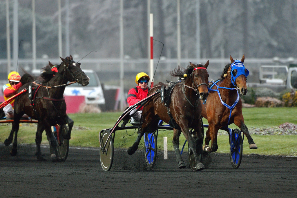 Grand Prix de Bourgogne : Bold Eagle intraitable