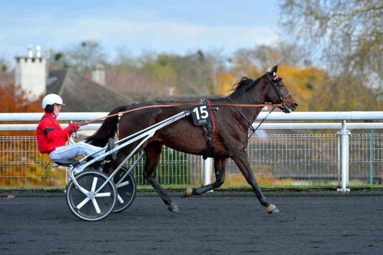 Les meilleurs challengers de Bold Eagle