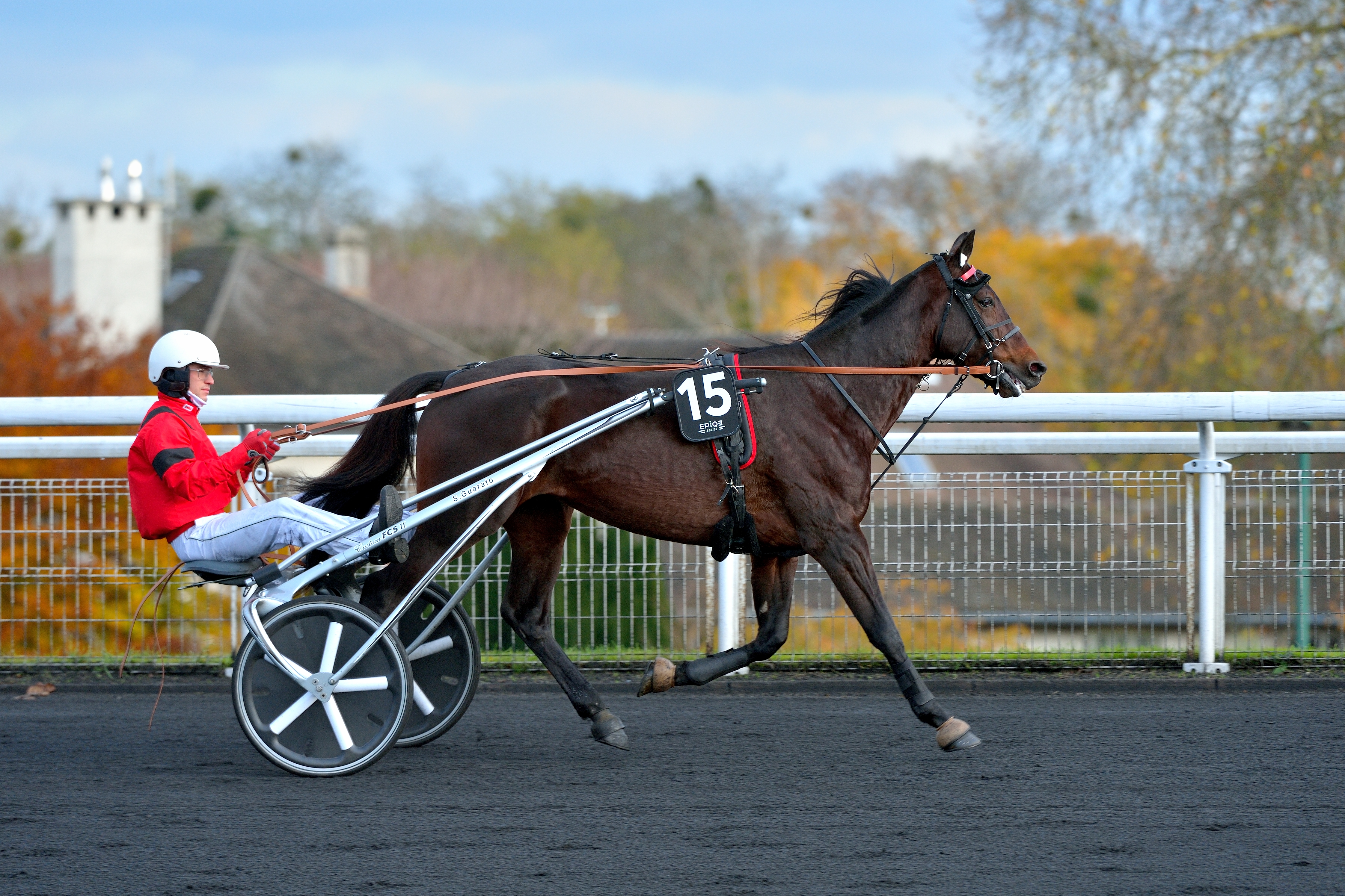 Les meilleurs challengers de Bold Eagle