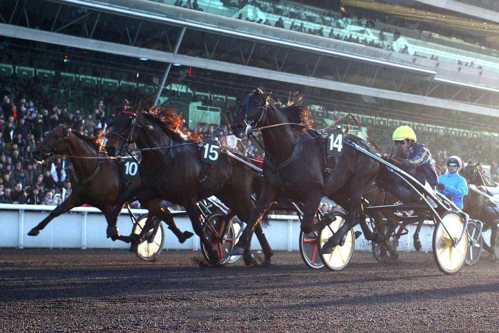 Les trotteurs qualifiés pour le Grand Prix d'Amérique 2018