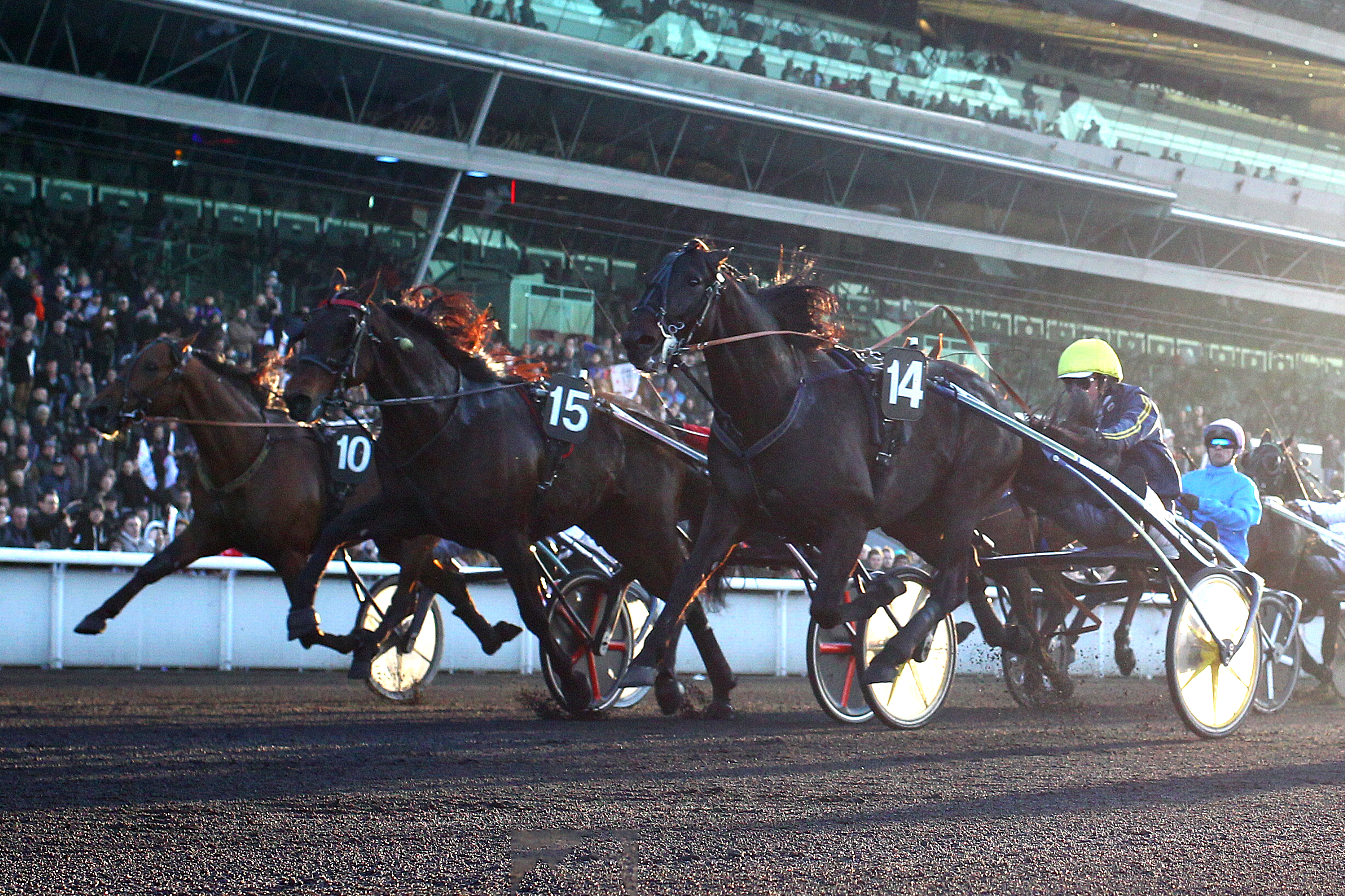 The qualified for the Grand Prix d’Amérique 2018