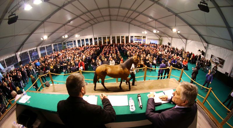 LES VENTES DU GRAND PRIX D’AMÉRIQUE, VITRINE DU TROTTING TRICOLORE