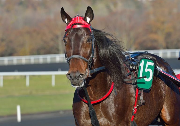 Le nouveau visage du Grand Prix du Bourbonnais