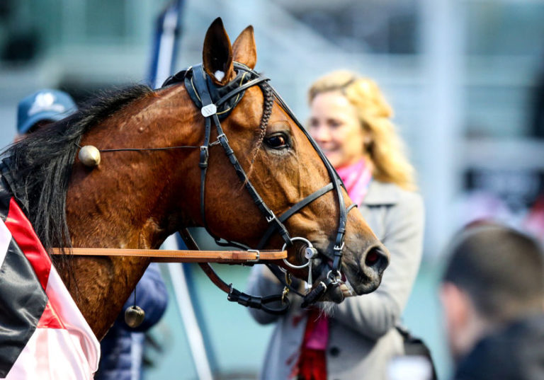 Prix Ténor de Baune : ce qu'il faut savoir