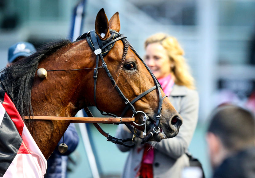 Prix Ténor de Baune : ce qu’il faut savoir