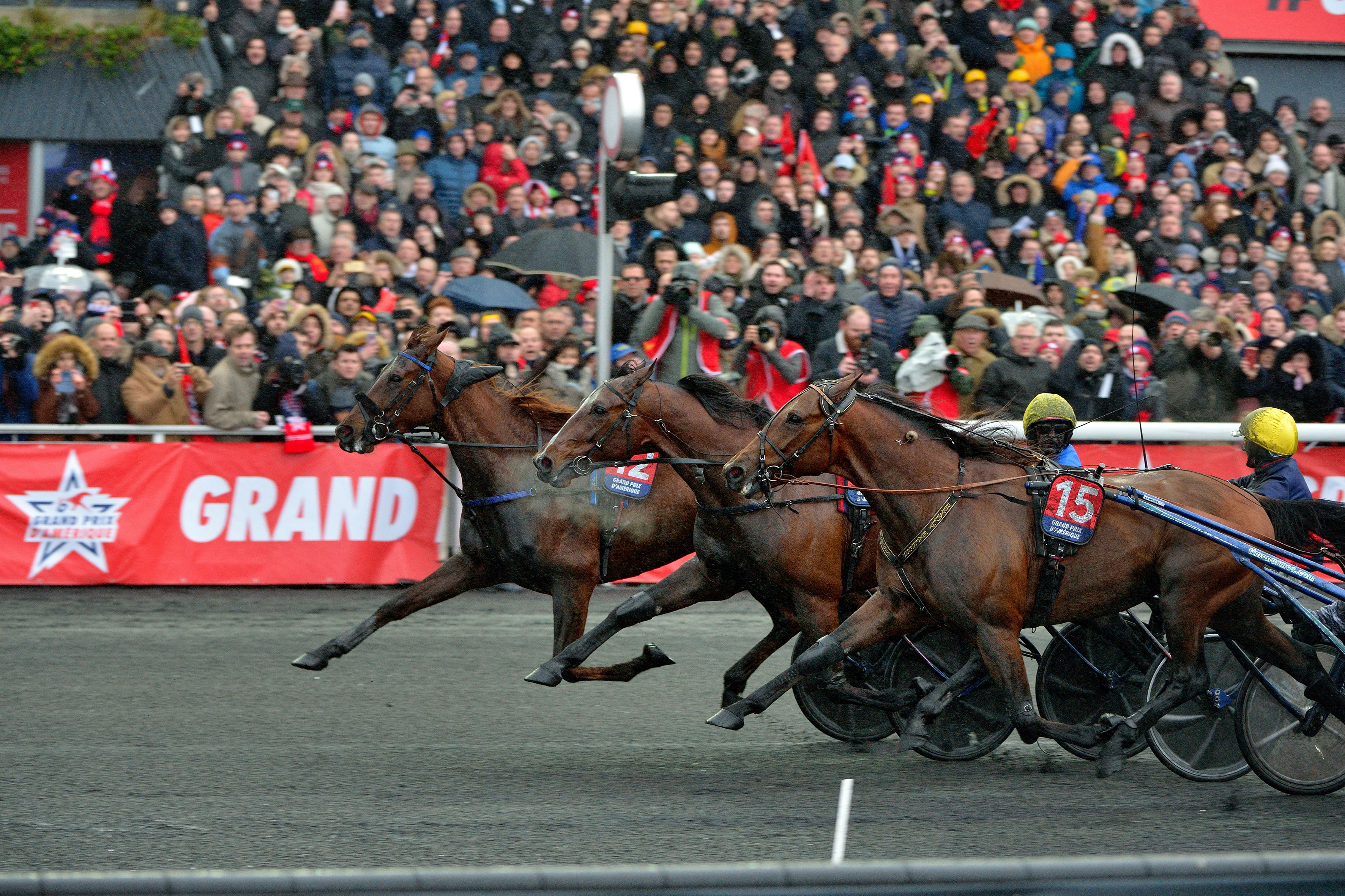 Bélina Josselyn et Jean-Michel Bazire triomphent dans le Grand Prix d’Amérique