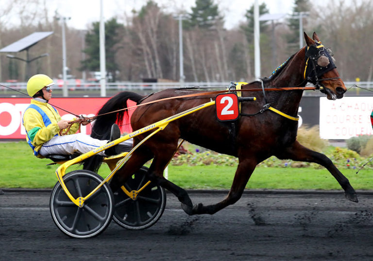 Bahia Quesnot, l'invitée surprise du Grand Prix d'Amérique