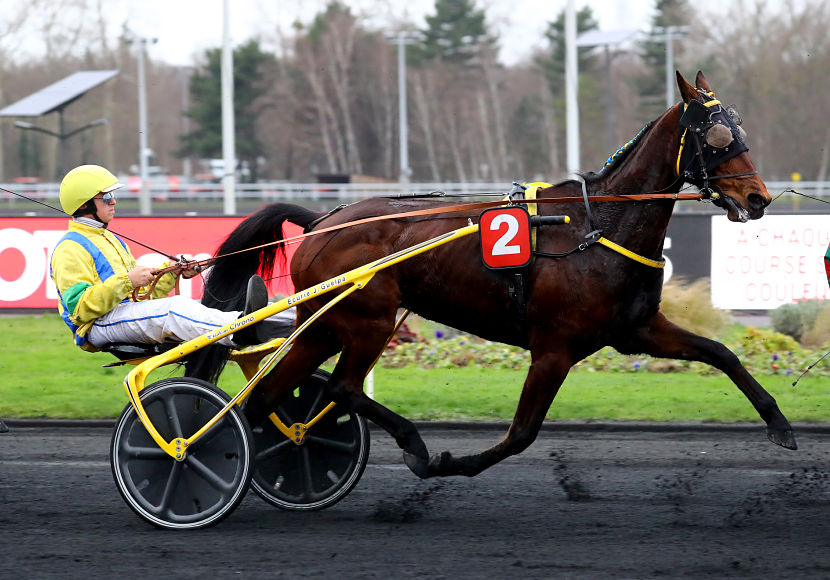 Bahia Quesnot, l’invitée surprise du Grand Prix d’Amérique