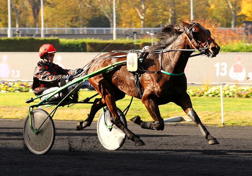 Délia du Pommereux : un premier partant pour Sylvain Roger