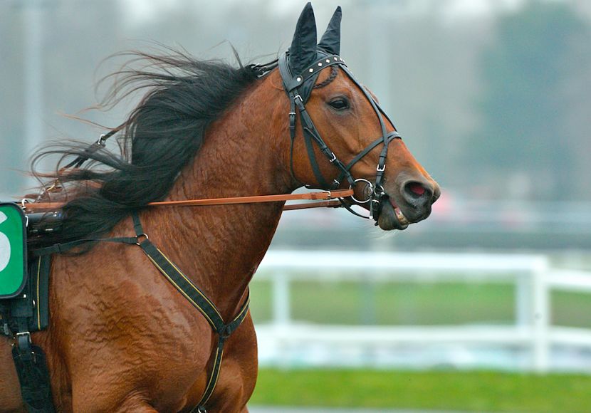 Readly Express, la star du Grand Prix de Belgique