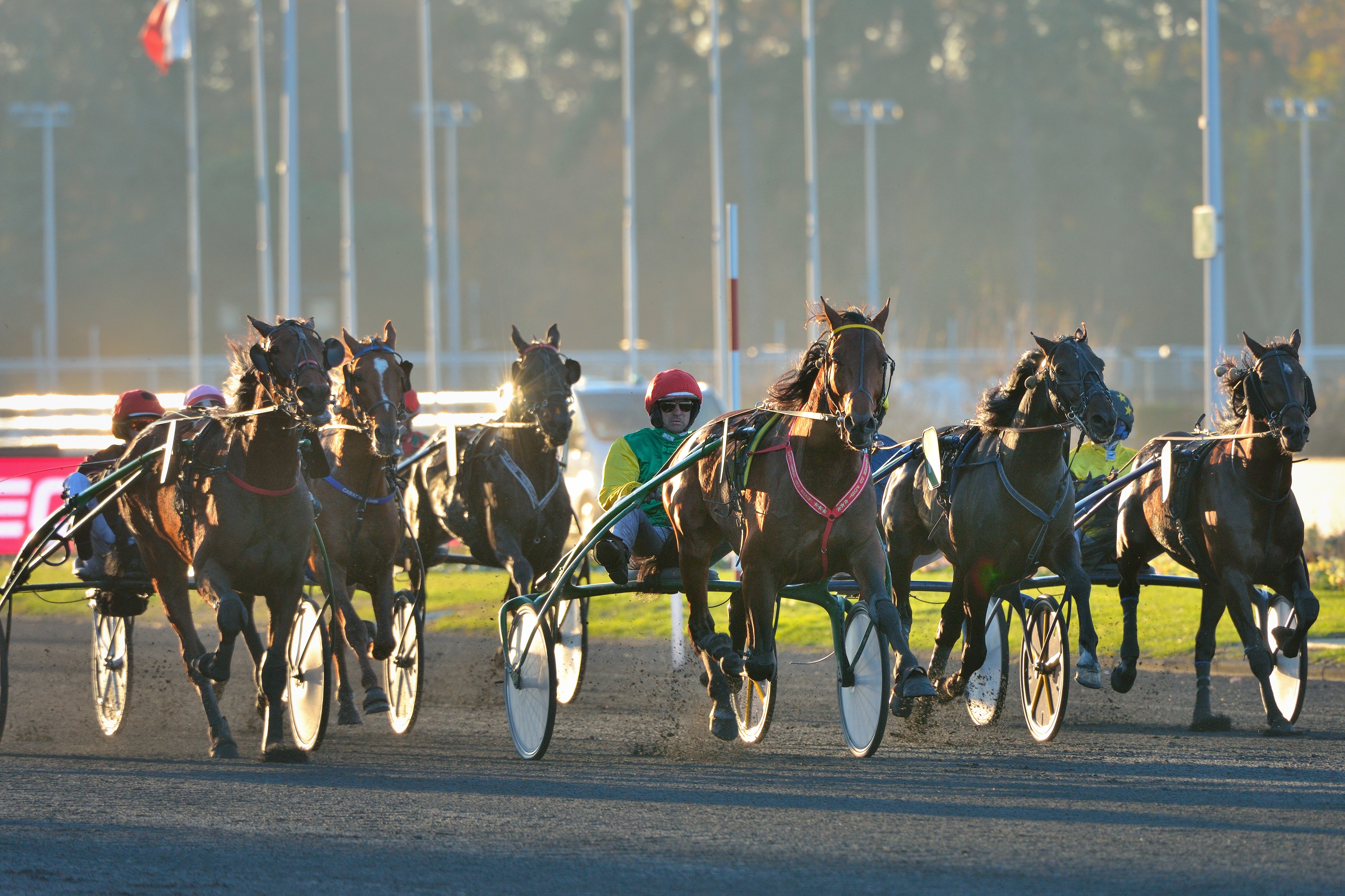 Programm until the Grand Prix d’Amérique 2020