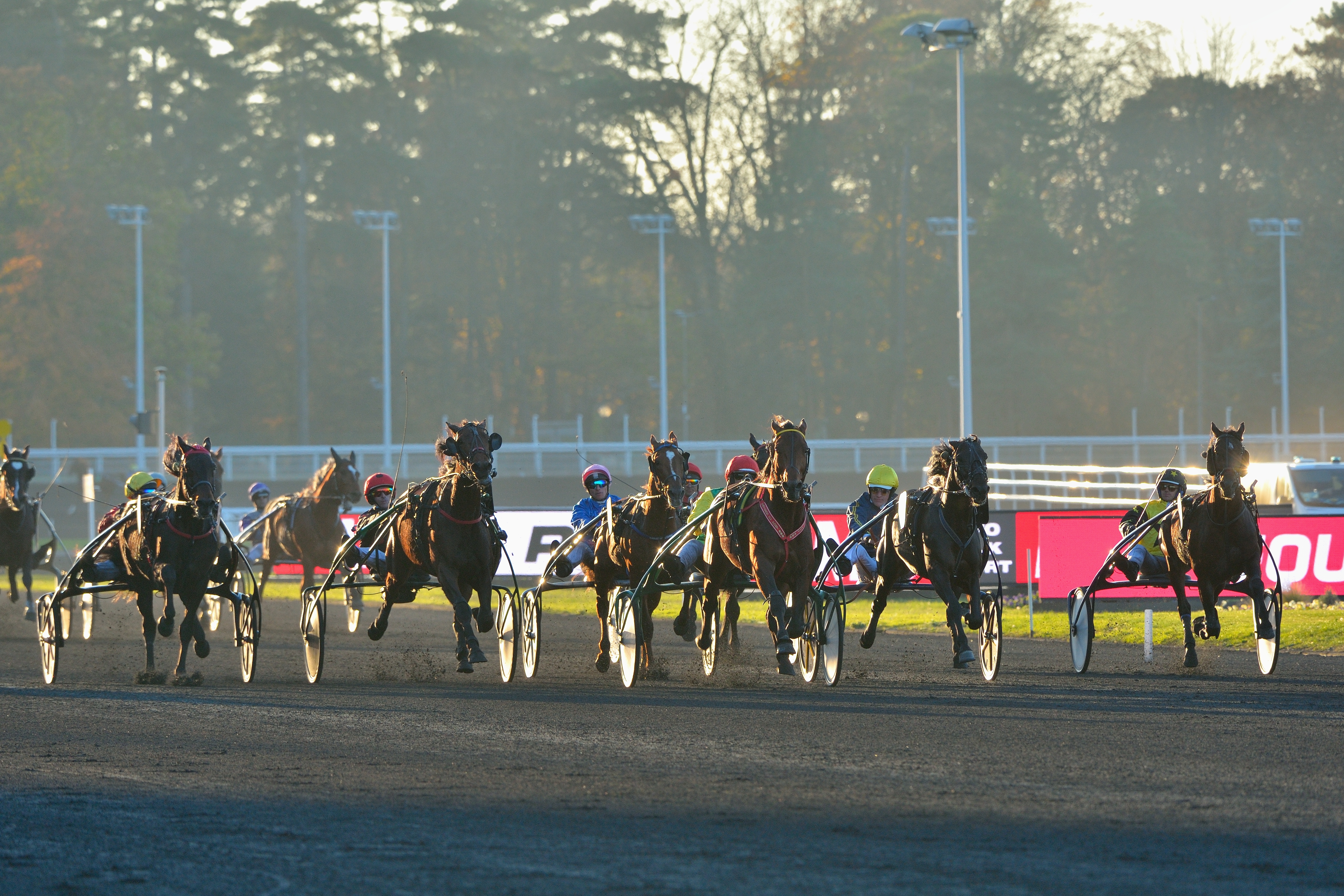 Road towards Grand Prix d’Amérique starts in Brittany