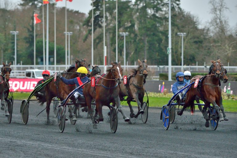 Prix Ténor de Baune: many contenders