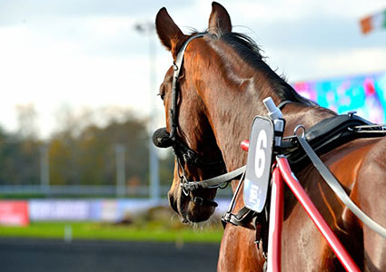 Chica de Joudes, la dame de fer