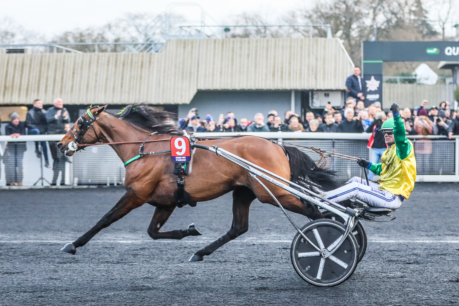 Face Time Bourbon et Björn Goop triomphent dans le Grand Prix d’Amérique 2020