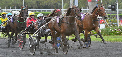 Grand Prix d'Amérique : quelles sont les prochaines échéances ?