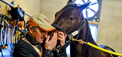 Sébastien Guarato and his square of aces