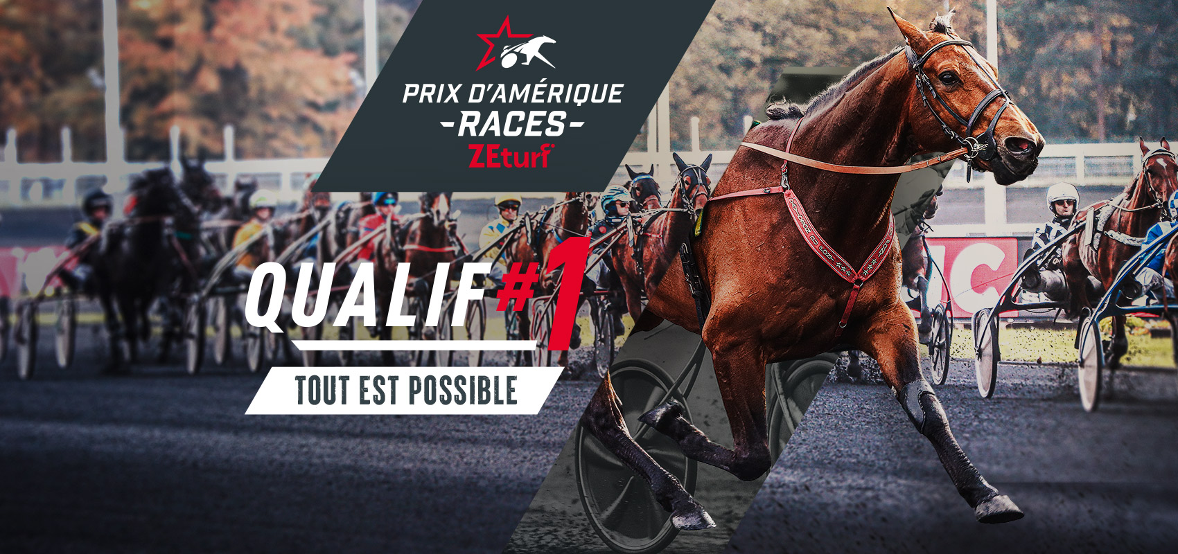 Prix d’Amérique Races ZEturf Qualif #1: the runners