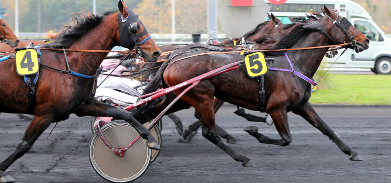 Prix d'Amérique Races ZEturf Qualif #1 : victoire de Diable de Vauvert