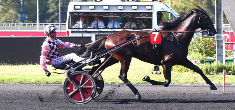 Des nouvelles des champions après le Prix d'Amérique Races ZEturf Qualif #1