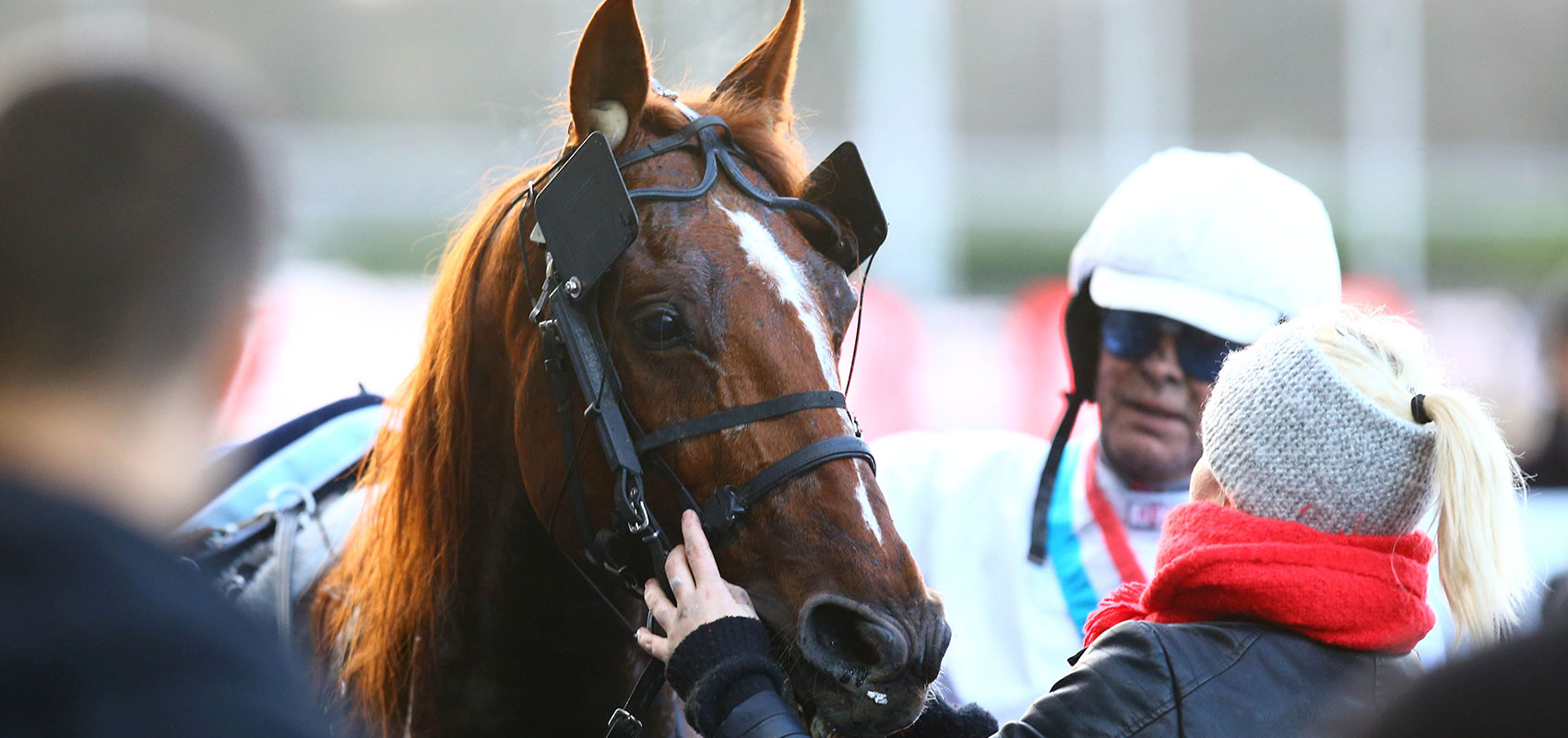 Prix d’Amérique races ZEturf : l’opposition européenne au départ de la Qualif#1