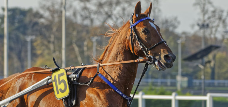 23 competitors entered in Prix d'Amérique Races ZEturf Qualif #2