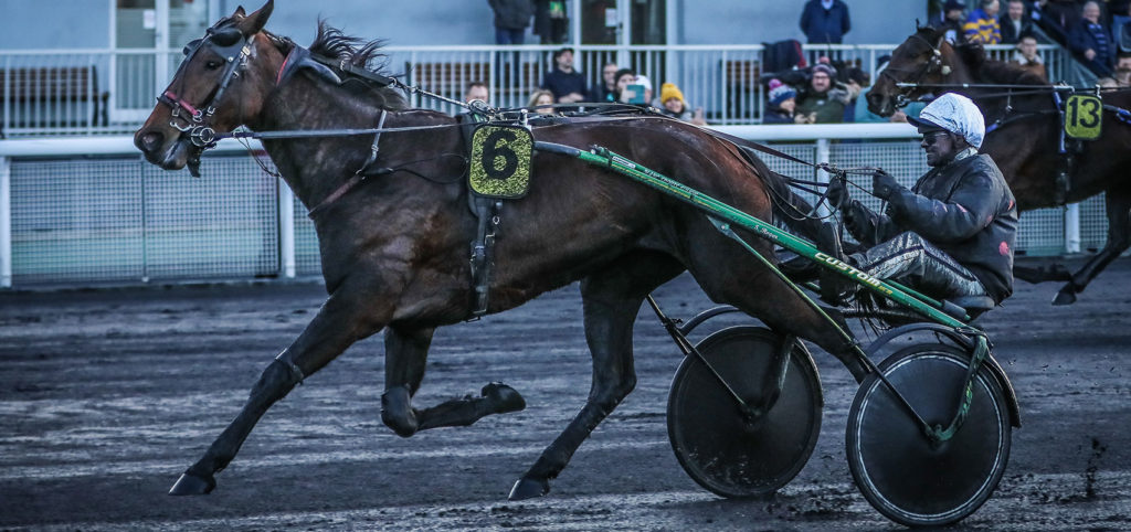 Delia du Pommereux a remporté les deux dernières éditions du Prix d'Amérique Races ZEturf Qualif #2