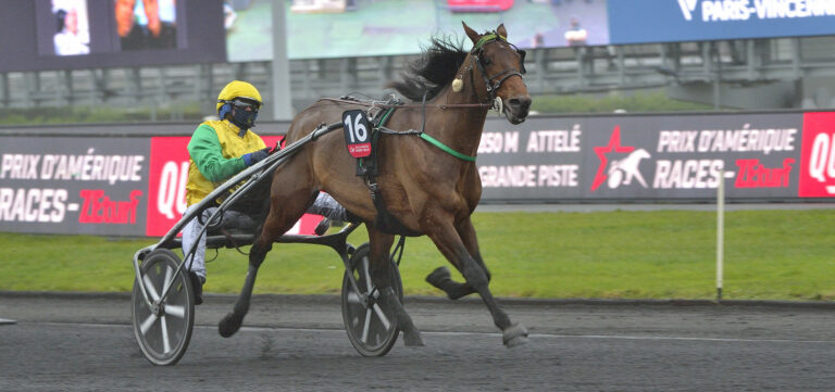 Prix d'Amérique Races ZEturf QUALIF #5: 15 runners in a thrilling race