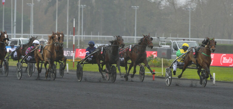 Prix d'Amérique Races ZEturf Qualif #2: Face Time Bourbon, simply the boss!