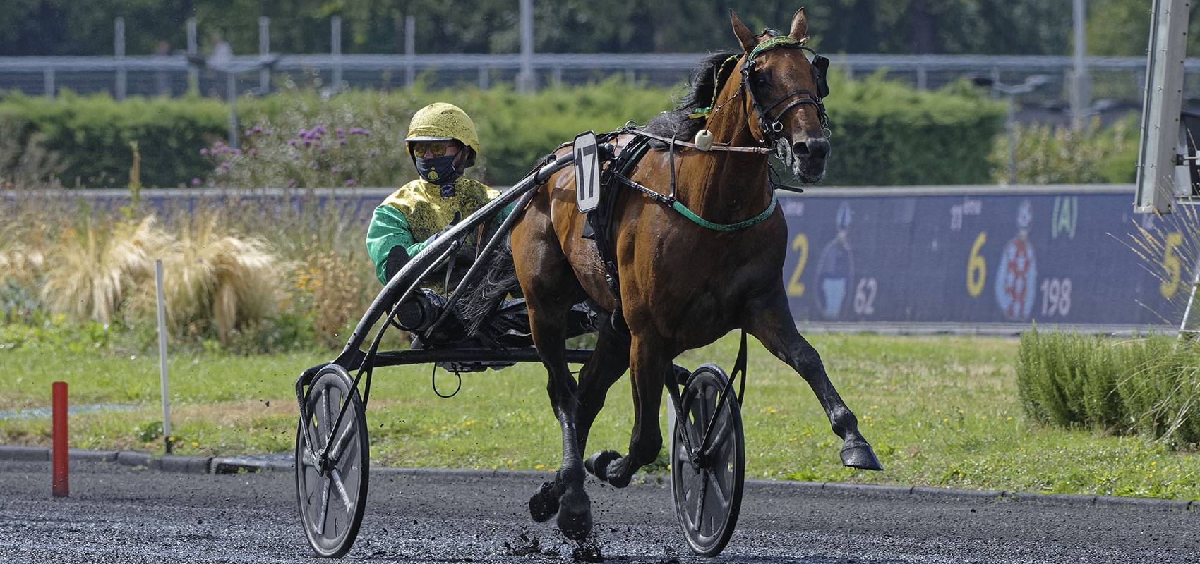 Prix d’Amérique Races ZEturf Qualif #2 : 16 partants définitifs