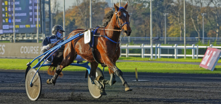 Prix d'Amérique Races ZEturf QUALIF #4: Fakir du Lorault vs bad luck