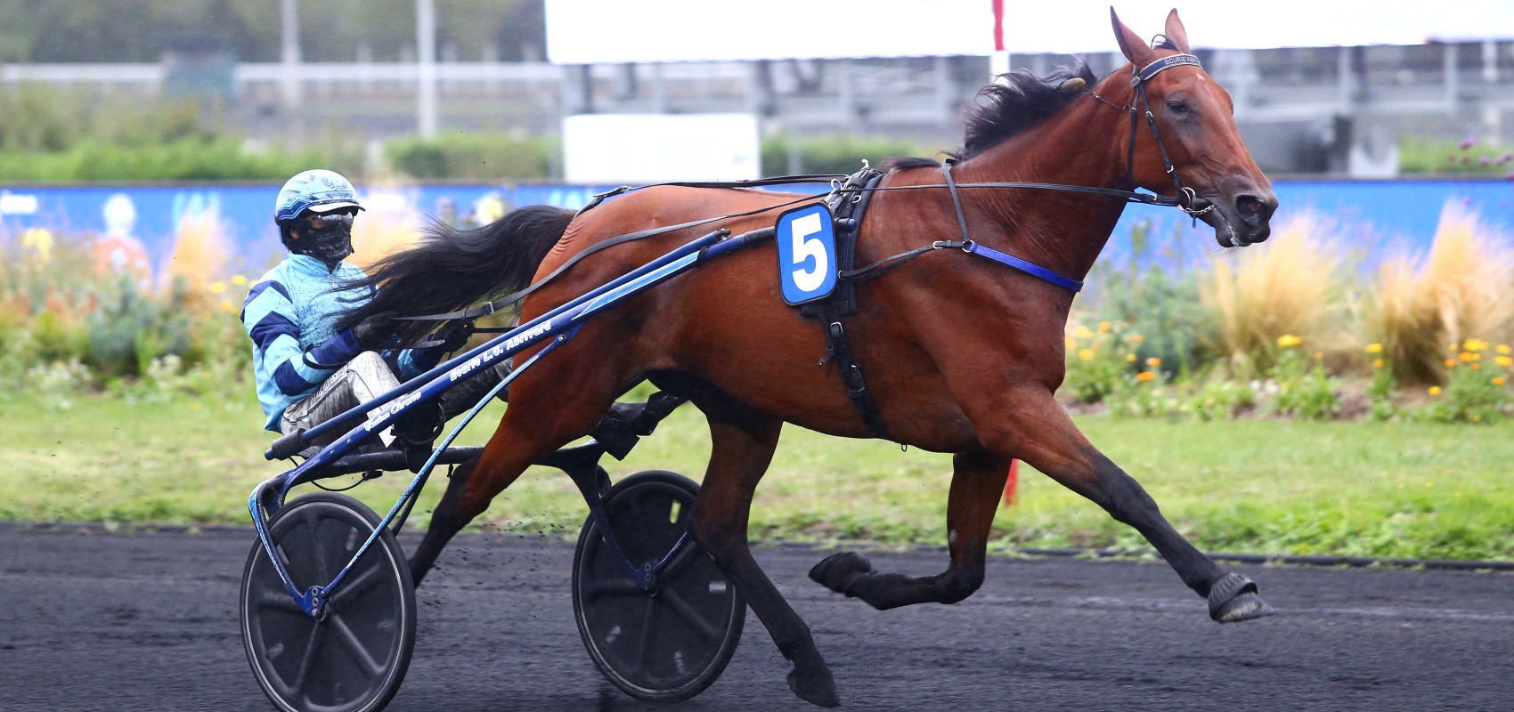 PRIX D’AMÉRIQUE RACES ZETURF QUALIF #4 : 12 FINAL RUNNERS