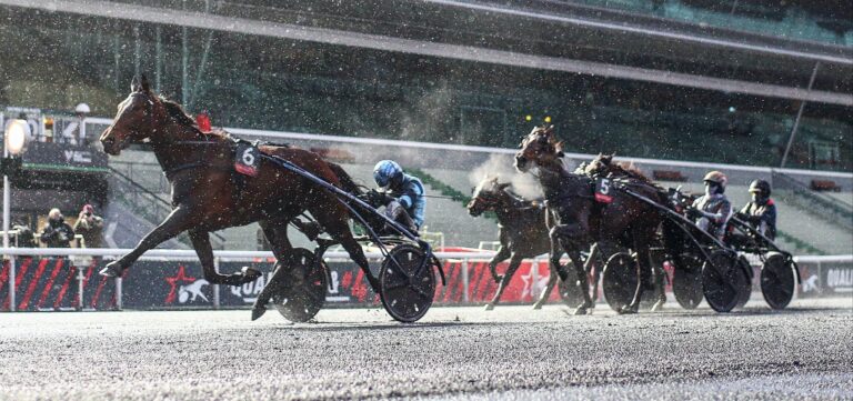 QUALIF #4 - FÉERIE WOOD MARCHE DANS LES PAS D'EXCELLENT