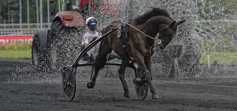 Engaged in Prix d'Amérique Races ZEturf Qualif #3 and #4