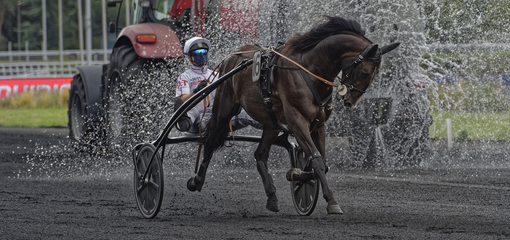 Engaged in Prix d’Amérique Races ZEturf Qualif #3 and #4