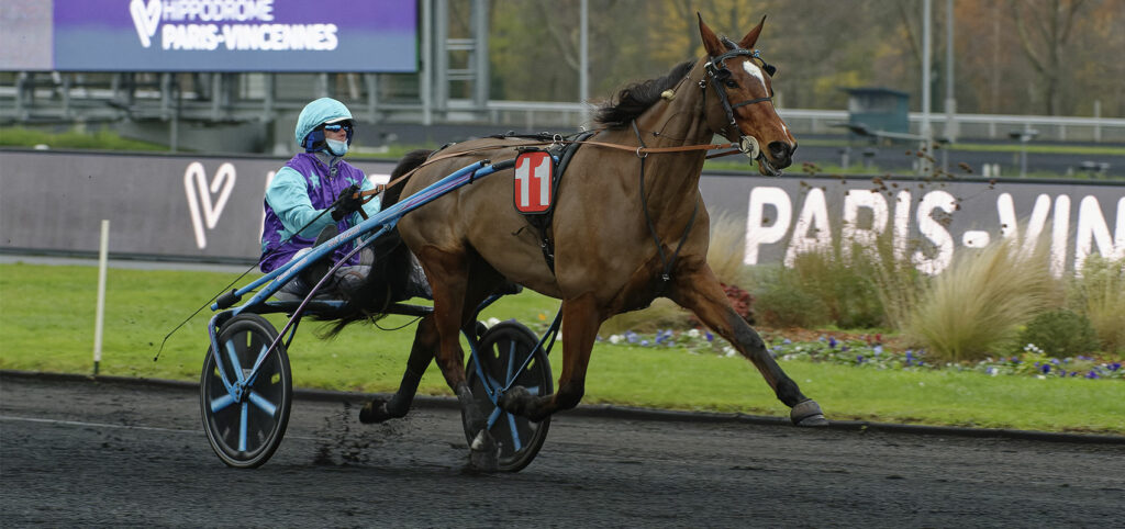 Prix d'Amérique Races ZEturf QUALIF #3 and #4: the likely starters