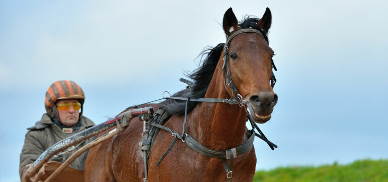 Spotlight on Sébastien Guarato, Face Time Bourbon's trainer